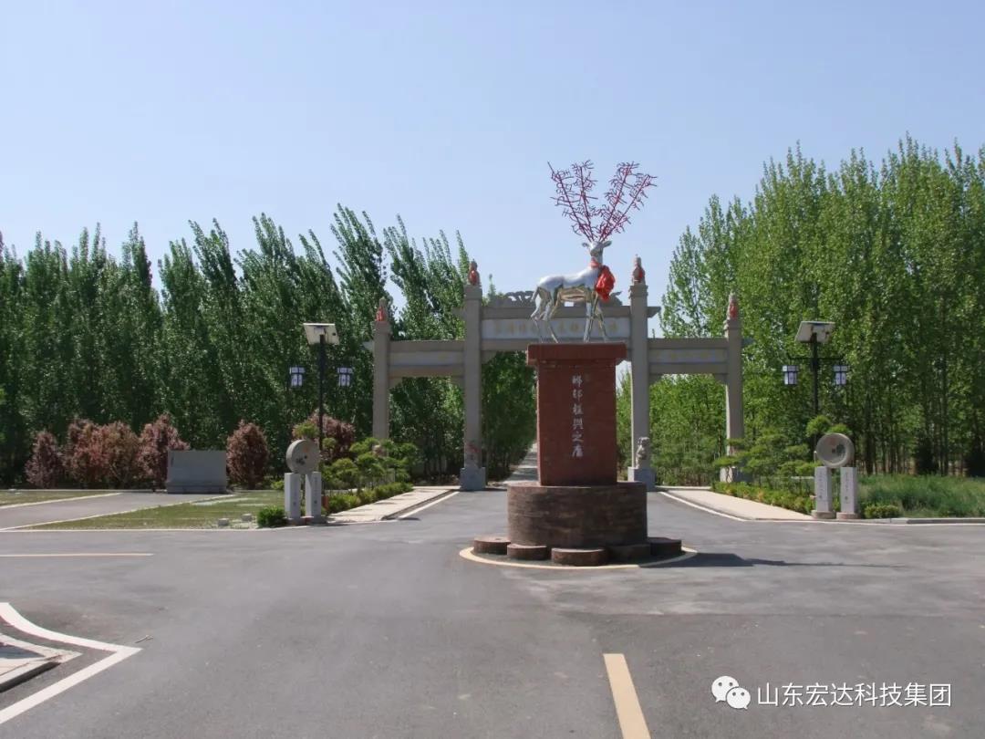 山东3377体育(中国官网)集团科技有限公司集团举办党史学习教育活动
